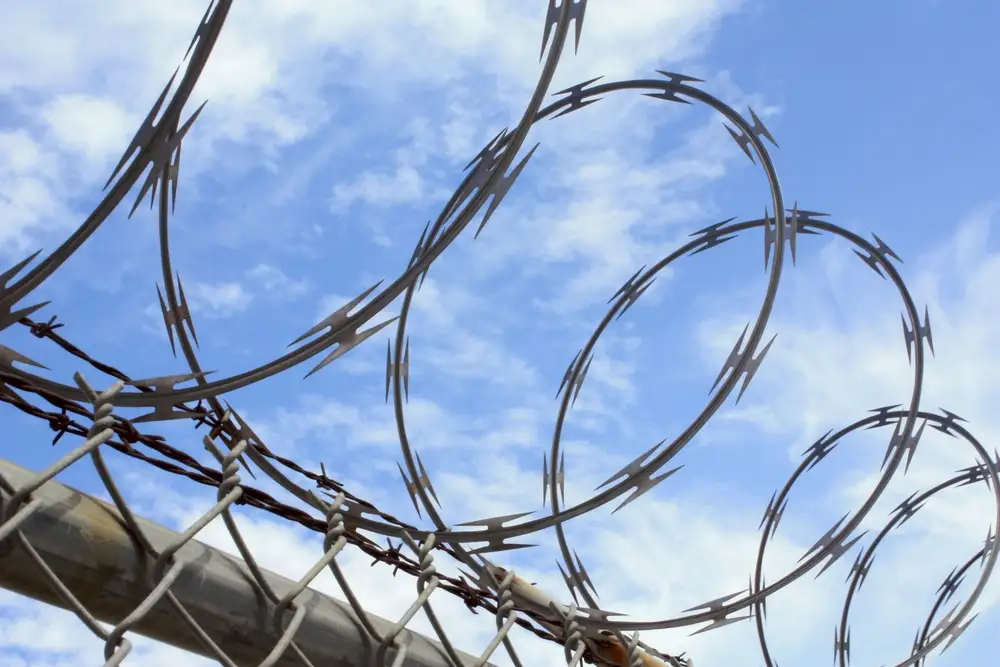 Колючая спиралевидная проволока ОКС